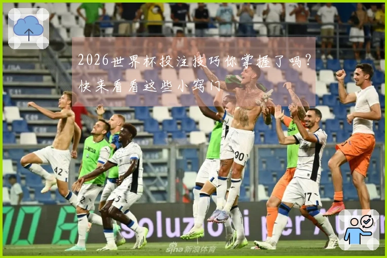 2026世界杯投注技巧你掌握了吗？快来看看这些小窍门