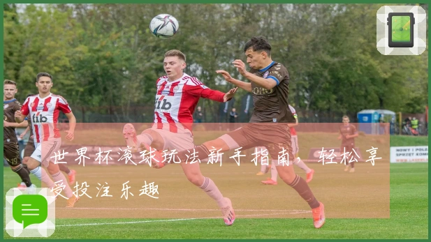 世界杯滚球玩法新手指南，轻松享受投注乐趣