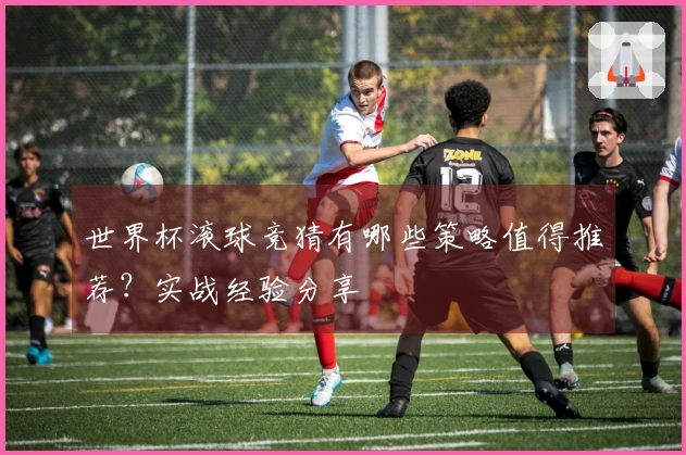 世界杯滚球竞猜有哪些策略值得推荐？实战经验分享