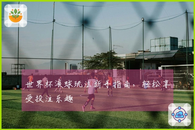 世界杯滚球玩法新手指南，轻松享受投注乐趣