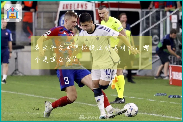 各大平台世界杯投注特点对比，哪个更适合你？