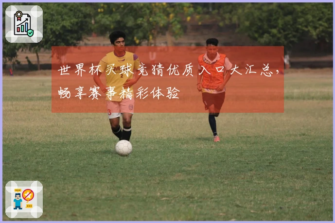 世界杯买球竞猜优质入口大汇总，畅享赛事精彩体验