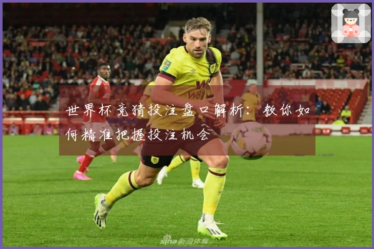 世界杯竞猜投注盘口解析：教你如何精准把握投注机会