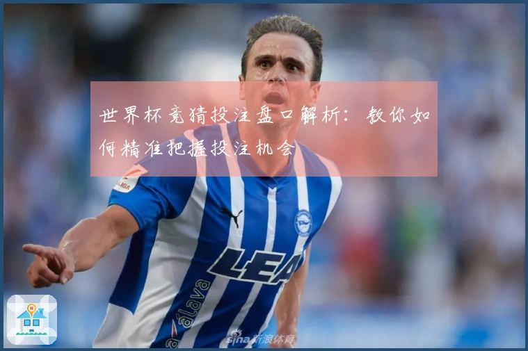 世界杯竞猜投注盘口解析：教你如何精准把握投注机会
