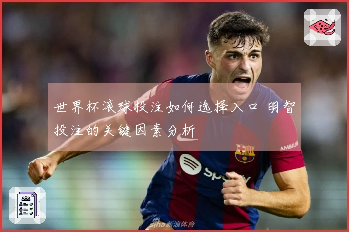 世界杯滚球投注如何选择入口 明智投注的关键因素分析
