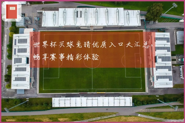 世界杯买球竞猜优质入口大汇总，畅享赛事精彩体验