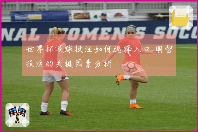 世界杯滚球投注如何选择入口 明智投注的关键因素分析