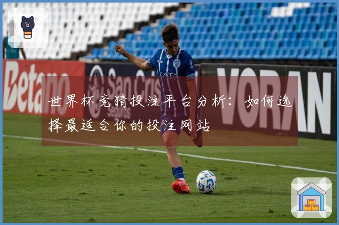 世界杯竞猜投注平台分析：如何选择最适合你的投注网站
